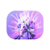 Pulsar Mini Metal Rolling Tray w/ Lid - Flowering / 7"x5.5" - SmokeWeed.com