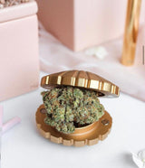 Stay Golden Seashell Weed Grinder - SmokeWeed.com